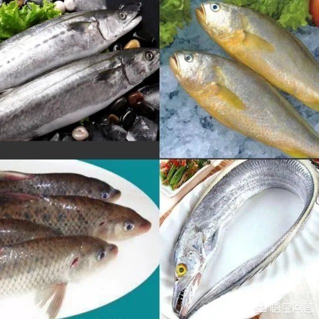 怎么挑选最鲜的海鲜？