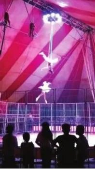 14岁女孩表演杂技不慎高空坠落是真的吗？