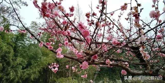 在这个三八妇女节，你对心中的女神最想说什么话？