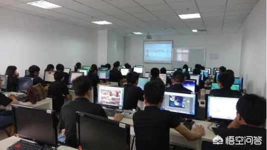 不去培训班自学编程吗