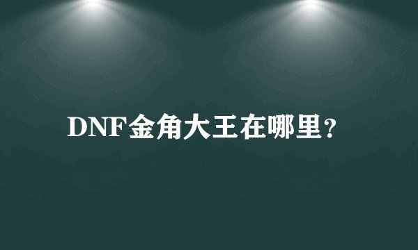 DNF金角大王在哪里？