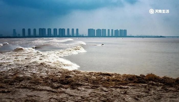 钱塘江观潮时间