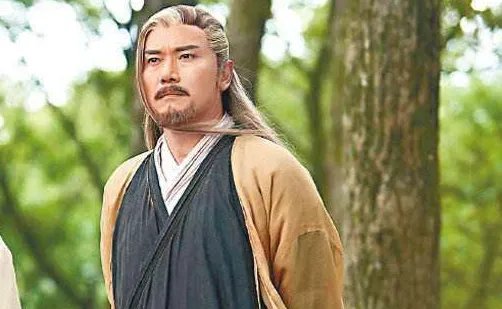 据说张无忌其实有传人，那这位传人有什么样的本事？