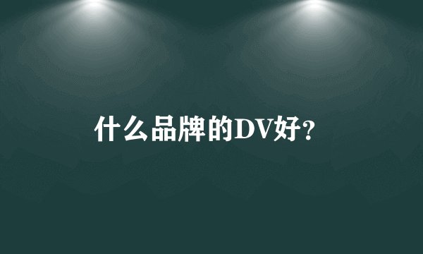 什么品牌的DV好？