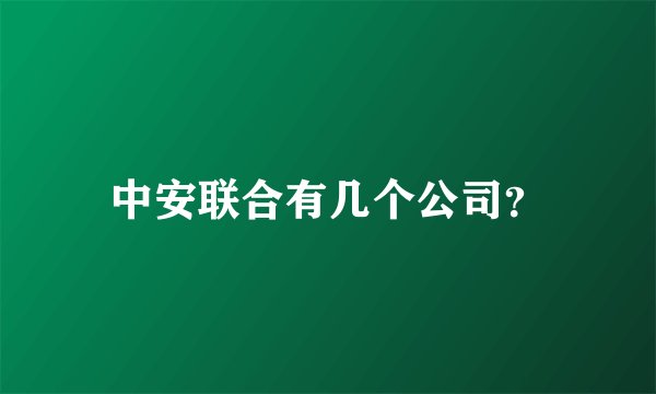 中安联合有几个公司？