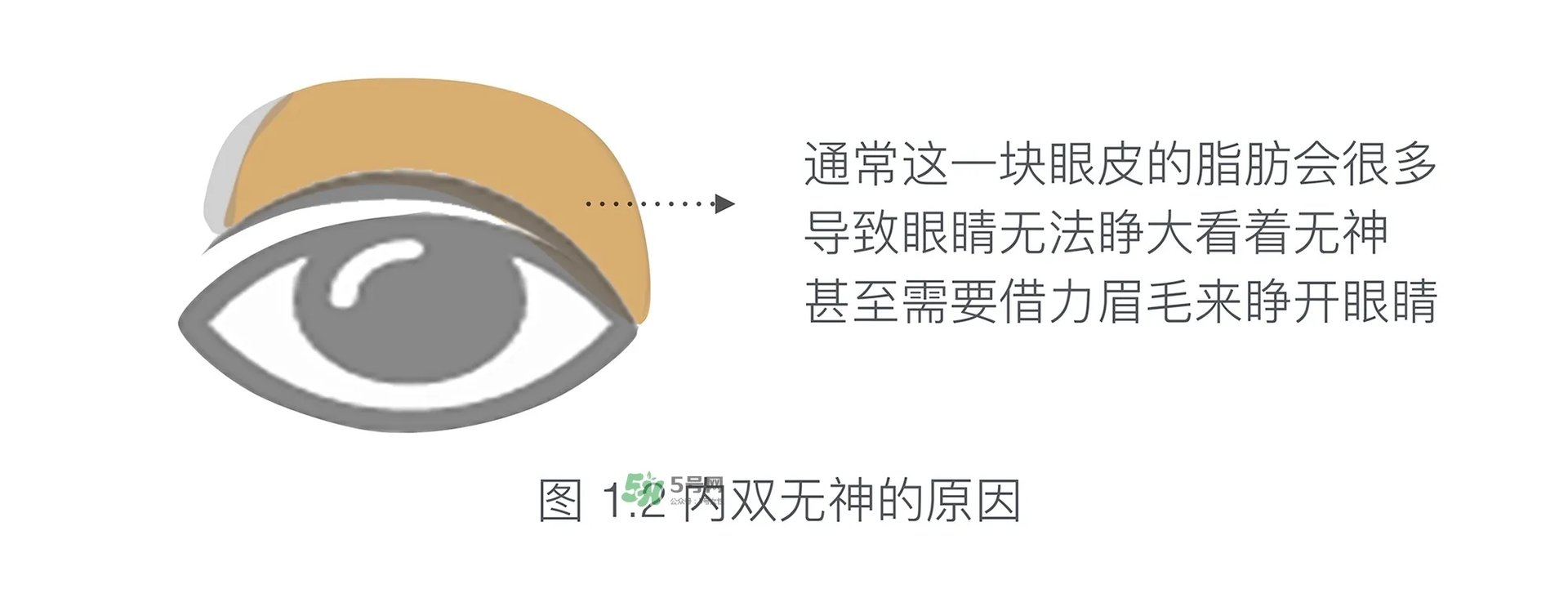 内双眼妆画法及步骤图片 日常内双眼妆的画法