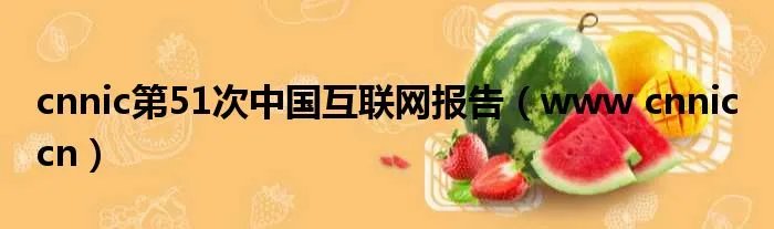cnnic第51次中国互联网报告（www cnnic cn）