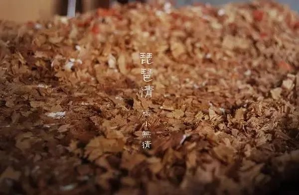 琵~琶~情【中国  传统工艺】