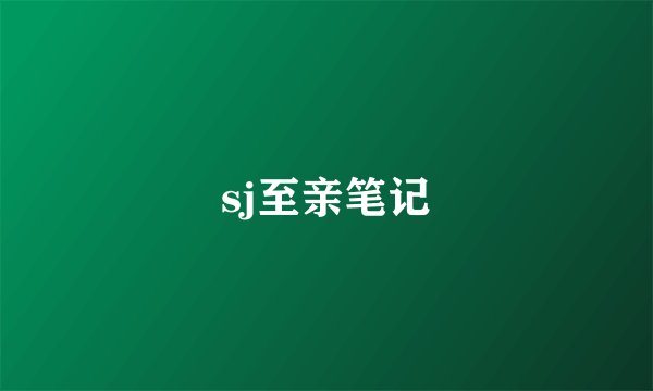 sj至亲笔记