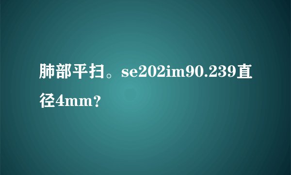 肺部平扫。se202im90.239直径4mm？