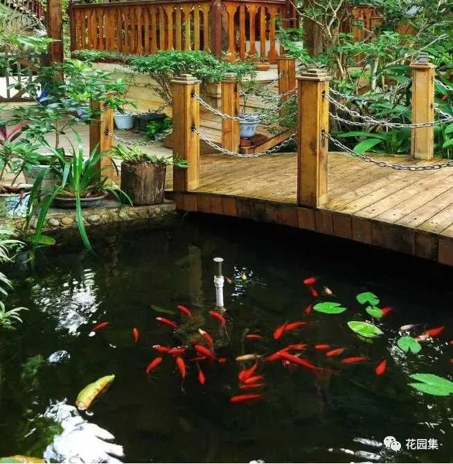 纯天然庭院鱼池打造攻略，生态、省心又实惠！赶紧收藏