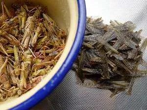 蚂蚱腿怎么炸的