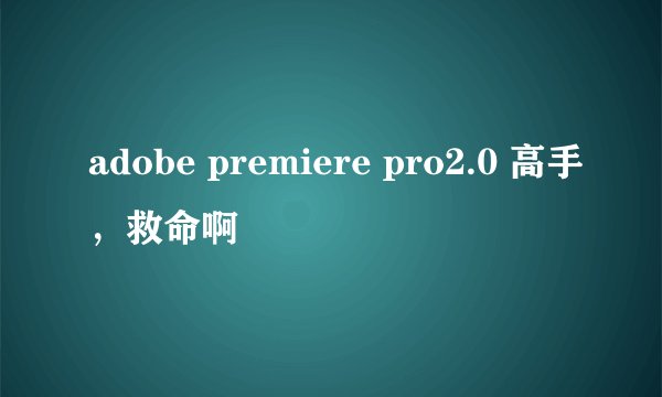 adobe premiere pro2.0 高手，救命啊