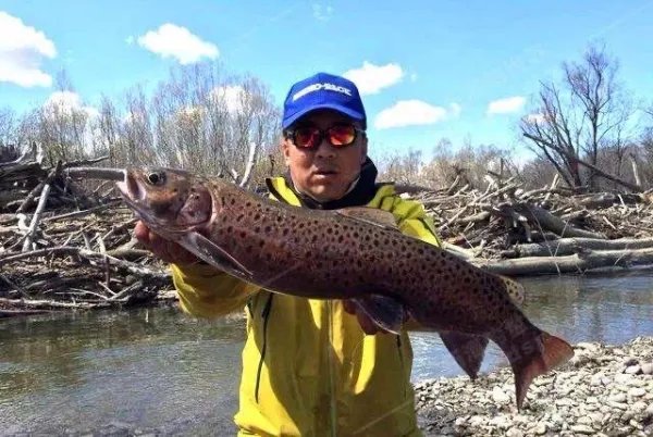 喀纳斯湖水怪到底是什么？难道真的是哲罗鲑？