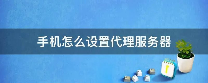 手机怎么设置代理服务器