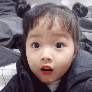 下联：墙里开花墙外红，上联如何对？