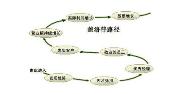 盖洛普的“优势理论”具体内容是什么？