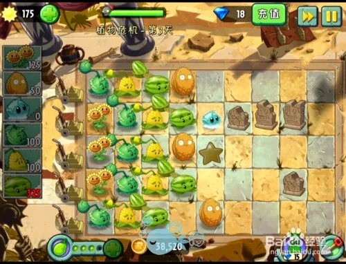 植物大战僵尸2攻略 神秘埃及 植物危机 第三天