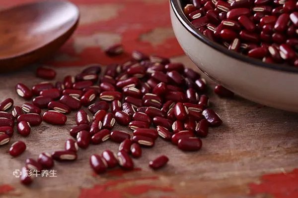 今年什么时候入伏是哪一天