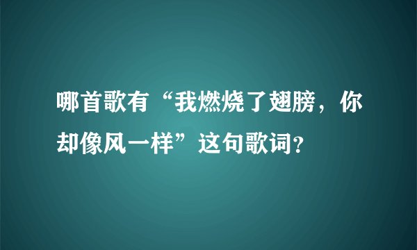 哪首歌有“我燃烧了翅膀，你却像风一样”这句歌词？