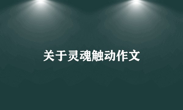 关于灵魂触动作文