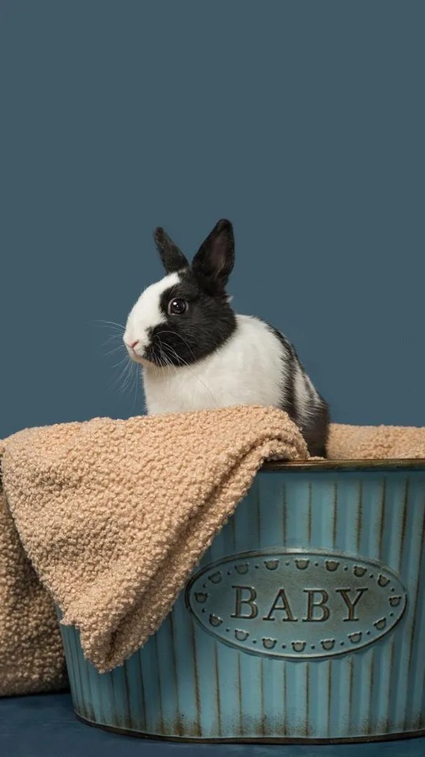 电池能用核能材料吗？能永久不用充电？