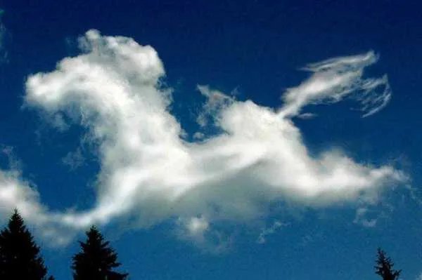 浮云是什么意思？