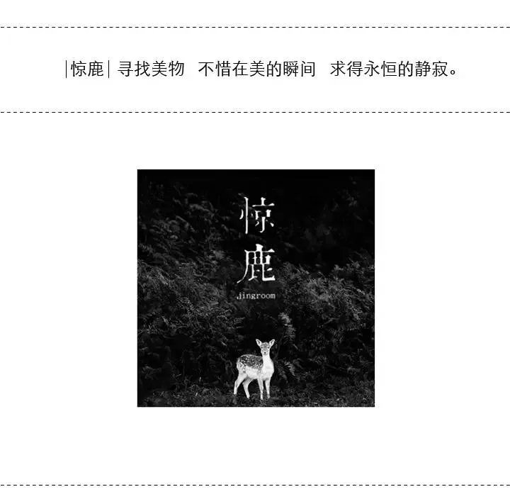 琵~琶~情【中国  传统工艺】