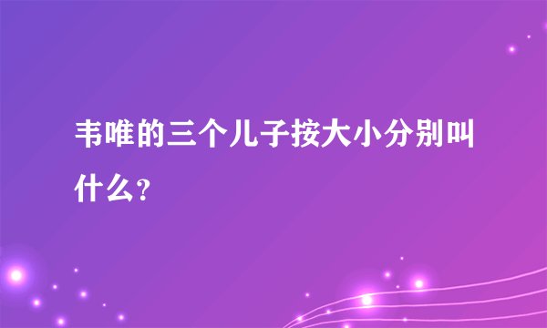 韦唯的三个儿子按大小分别叫什么？