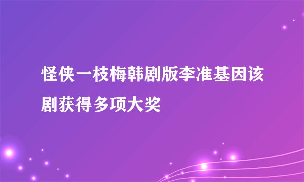 怪侠一枝梅韩剧版李准基因该剧获得多项大奖