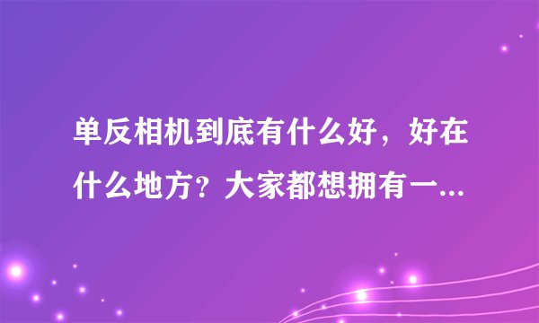 单反相机到底有什么好，好在什么地方？大家都想拥有一部。难道不觉得操作复杂吗？