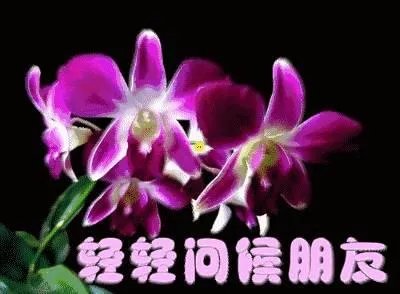 在婆家地位是自己争取的还是别人给的？