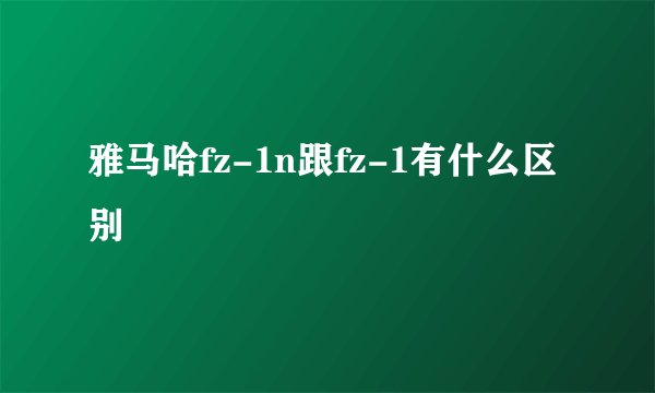 雅马哈fz-1n跟fz-1有什么区别
