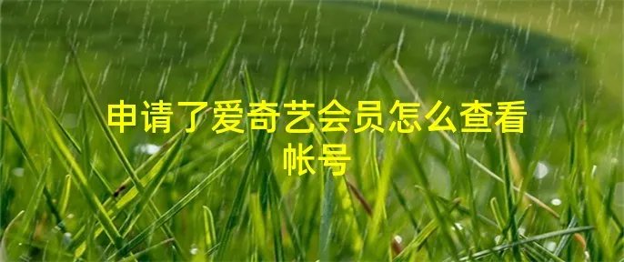 申请了爱奇艺会员怎么查看帐号