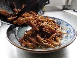 蚂蚱腿怎么炸的