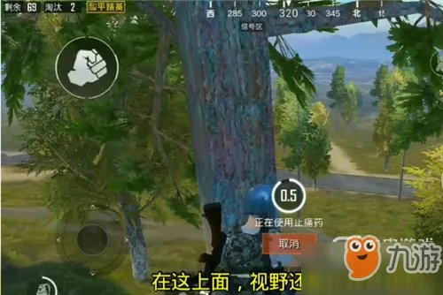 和平精英监狱上树阴人有什么技巧 卡树玩法攻略