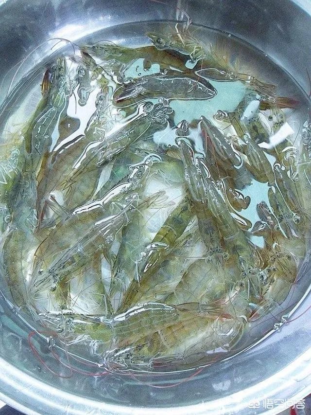 怎么挑选最鲜的海鲜？