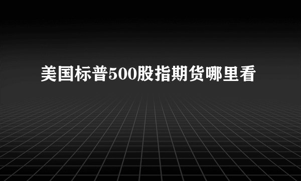 美国标普500股指期货哪里看