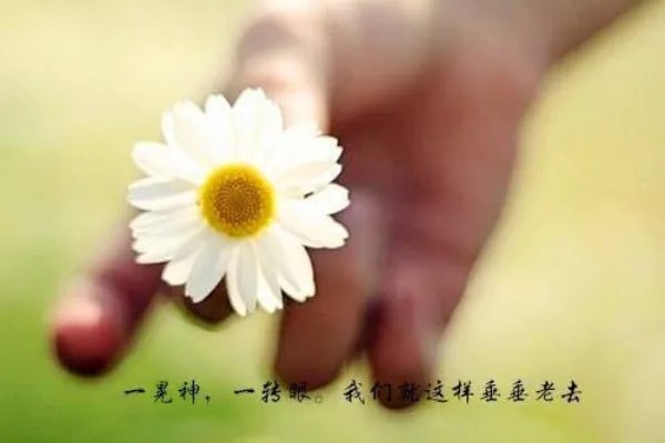 王铁柱张巧花小说 王铁柱山村小神医全文阅读