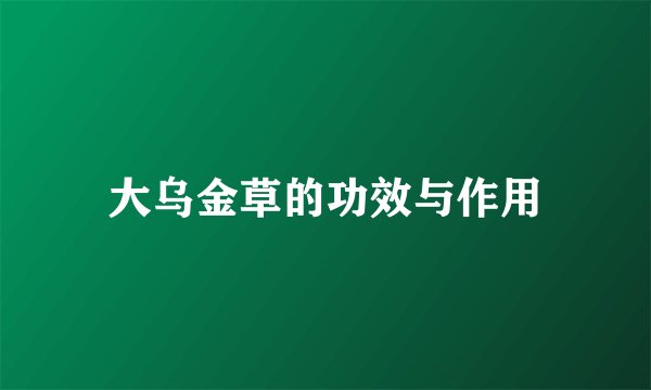 大乌金草的功效与作用