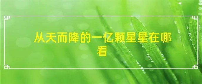 从天而降的一亿颗星星在哪看