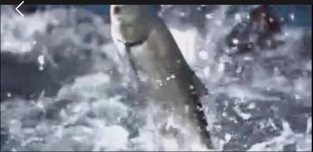 海宁尖山的水库还能钓鱼吗