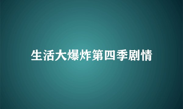 生活大爆炸第四季剧情