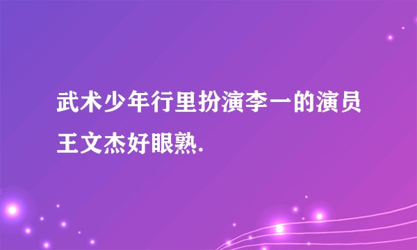 武术少年行里扮演李一的演员王文杰好眼熟.