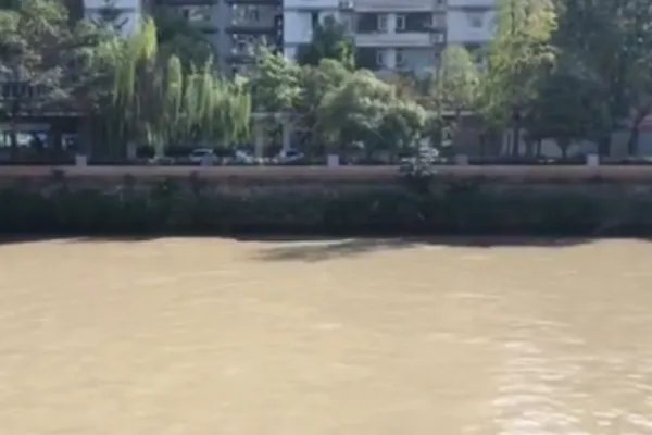 的哥救轻生女子被水冲走，她想死，为何要救她？