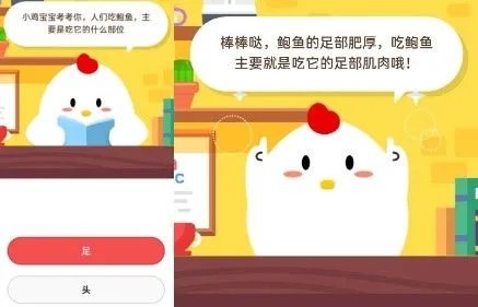 人们吃鲍鱼，主要是吃它的什么部位