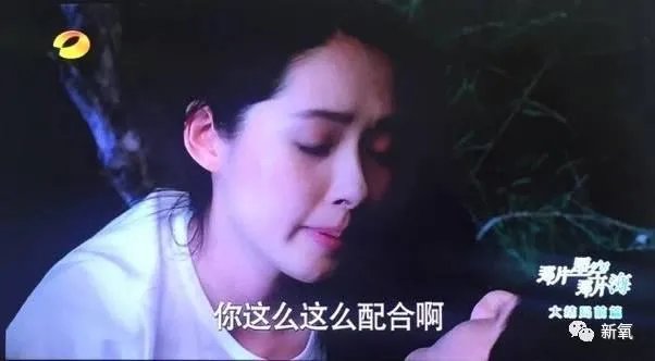 怎样评价郭碧婷的演技?