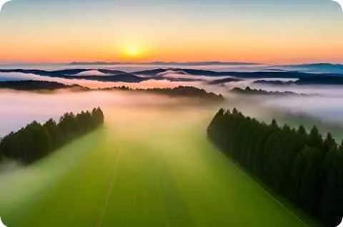 断掌手相图解_看相大全