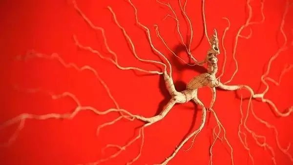 长春都有哪些非物质文化遗产项目？