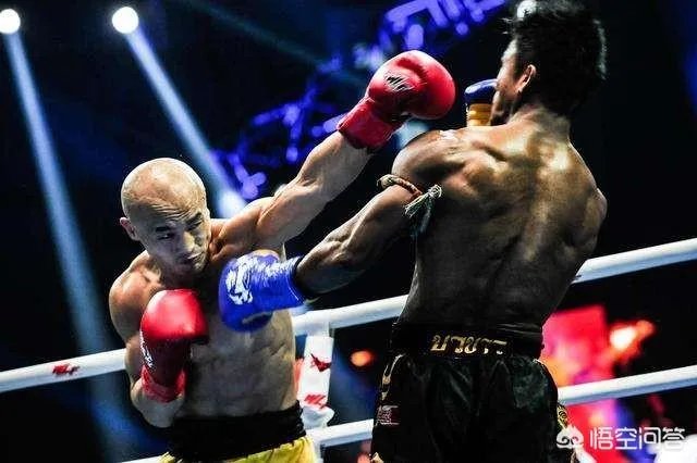 如果在擂台上无规则比赛，巅峰泰森和巅峰一龙谁厉害？